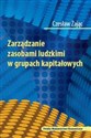 Zarządzanie zasobami ludzkimi w grupach kapitałowych - Czesław Zając Bookshop