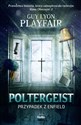 Poltergeist Przypadek z Enfield pl online bookstore