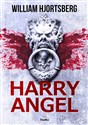Harry Angel 