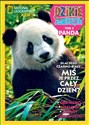 Dzikie Zwierzęta Panda t.3   /K/  