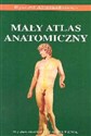 Mały atlas anatomiczny online polish bookstore