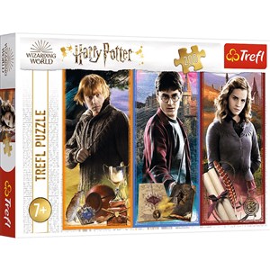Puzzle 200 W świecie magii i czarów Harry Potter 13277 bookstore