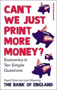 Can’t We Just Print More Money? buy polish books in Usa