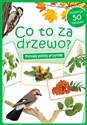 Co to za drzewo? 