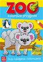 Zoo - kolorowa przygoda  