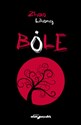 Bóle buy polish books in Usa