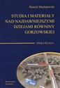 Studia i materiały nad najdawniejszymi dziejami równiny gorzowskiej Tom 4 Epoka żelaza Polish Books Canada