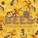 Bees A lift-the-flap eco book  -  polish books in canada