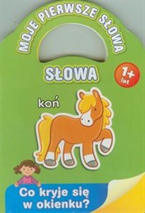 Moje pierwsze słowa Słowa wiek 1+. Co kryje się w okienku?  