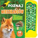 Poznaj mieszkańców lasu  