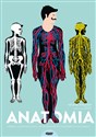 Anatomia Obraz ludzkiego ciała na wyjątkowych ażurowych rycinach - Helene Druvert pl online bookstore