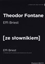 Effi Briest - Theodor Fontane