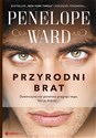 Przyrodni brat 