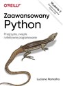 Zaawansowany Python Przejrzyste zwięzłe i efektywne programowanie buy polish books in Usa