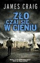 Zło czai się w cieniu polish books in canada