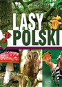 Lasy Polski 