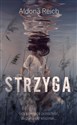 Strzyga chicago polish bookstore