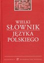 Wielki słownik języka polskiego to buy in Canada