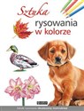 Sztuka rysowania w kolorze  - 