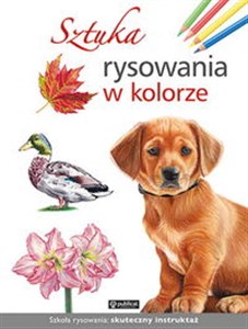 Sztuka rysowania w kolorze online polish bookstore