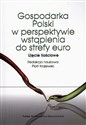 Gospodarka Polski w perspektywie wstąpienia do strefy euro Ujęcie ilościowe pl online bookstore