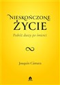 Nieskończone życie Podróż duszy po śmierci - Polish Bookstore USA