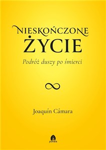 Nieskończone życie Podróż duszy po śmierci - Polish Bookstore USA