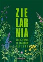 Zielarnia Jak czerpać ze skarbów natury to buy in Canada