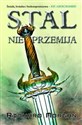 Stal nie przemija - Polish Bookstore USA