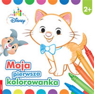 Moja pierwsza kolorowanka 2+ DDC-3  