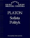 Sofista, Polityk  