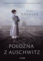 Położna z Auschwitz Wielkie Litery - Magda Knedler buy polish books in Usa