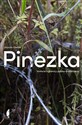 Pinezka Historie z granicy polsko-białoruskiej  