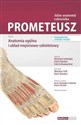 Prometeusz Atlas anatomii człowieka Tom 1 Anatomia ogólna i układ mięśniowo-szkieletowy - Michael Schunke, Erik Schulte, Udo Schumacher  