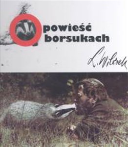 Opowieść o borsukach  