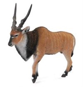 Antylopa wielka Eland XL  