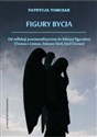 Figury bycia Od refleksji postmetafizycznej do lektury figuralnej  