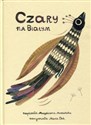 Czary na Białym chicago polish bookstore