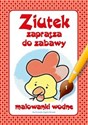Ziutek zaprasza do zabawy część 1 Malowanki wodne pl online bookstore