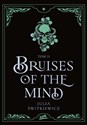 Bruises of the Mind Tom II - Julia Świtkiewicz
