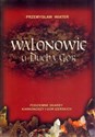 Walonowie u ducha gór Podziemne skarby Karkonoszy i Gór Izerskich in polish