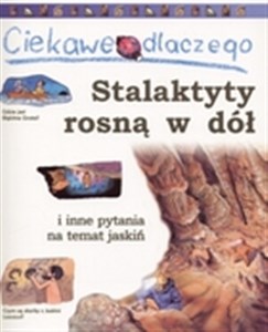 Ciekawe dlaczego stalaktyty rosną w dół i inne pytania na temat jaskiń Polish bookstore
