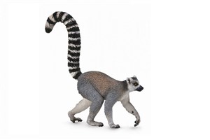 Lemur  