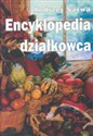 Encyklopedia działkowca  