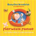 Pierwsza pomoc nie tylko dla przedszkolaków Cecylka Knedelek przedstawia - Joanna Krzyżanek - Polish Bookstore USA
