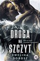 Droga na szczyt - Polish Bookstore USA