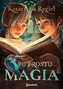 Po prostu magia chicago polish bookstore