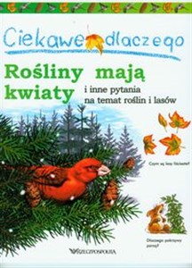 Ciekawe dlaczego rośliny mają kwiaty i inne pytania na temat roślin i lasó Bookshop