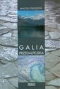 Galia Przedalpejska Studia nad rzymską obecnością w północnej Italii w III-I w. p.n.e. pl online bookstore