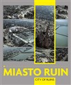 Miasto ruin chicago polish bookstore
